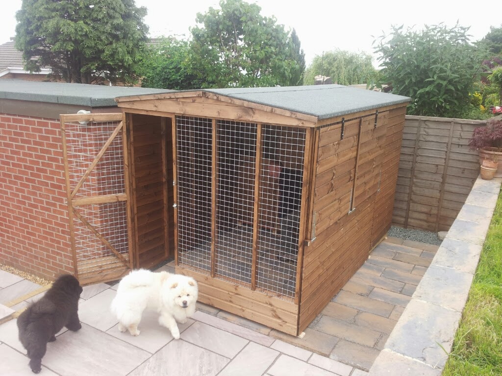 animal shelter